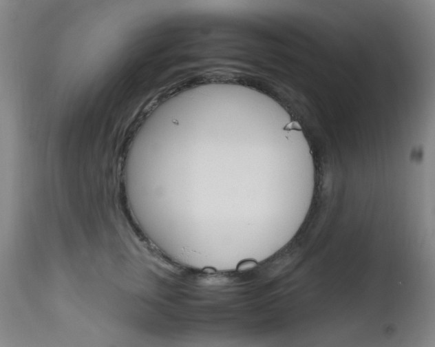 X0000112970759200908270943