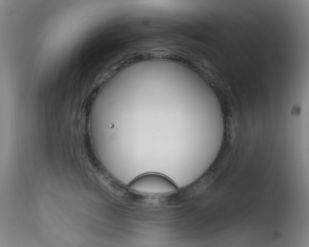 X0000112970760200908270943