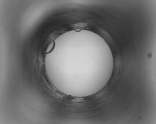 X0000112970761200908270943