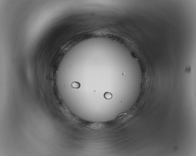 X0000112970762200908270943