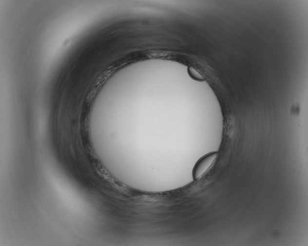 X0000112970763200908270943