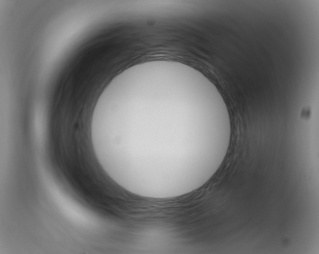 X0000112970764200908270943