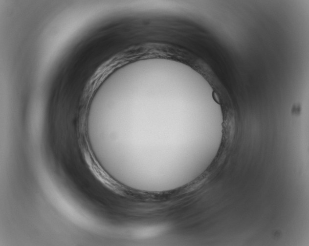 X0000112970765200908270943