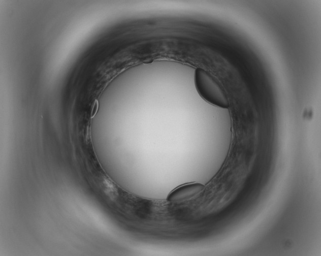 X0000112970766200908270943
