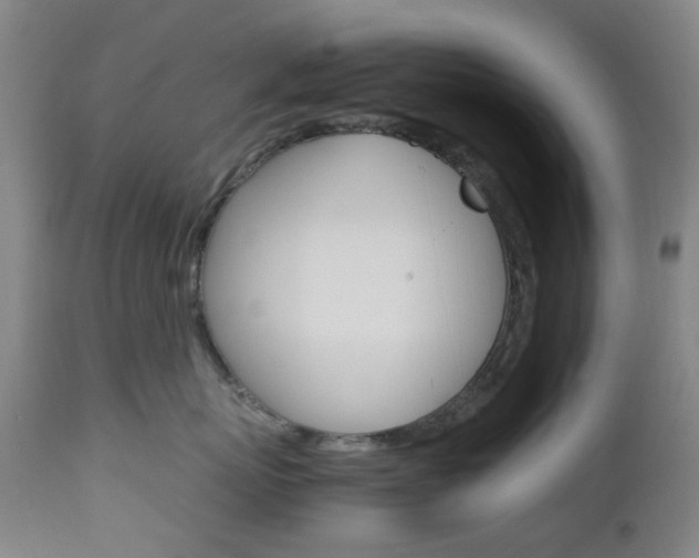 X0000112970767200908270943