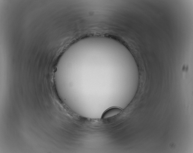X0000112970768200908270943