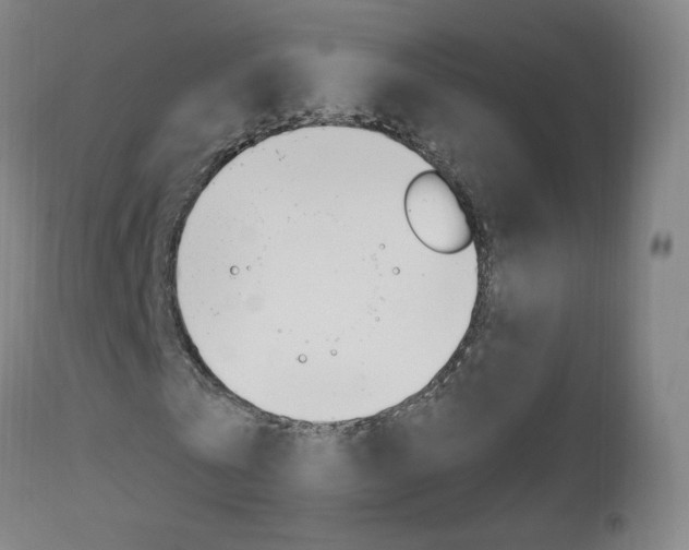 X0000112970769200908270942
