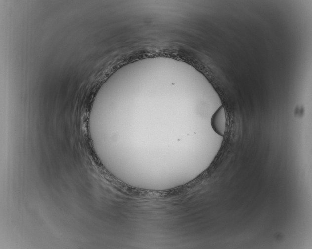 X0000112970770200908270942