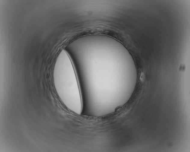 X0000112970771200908270942