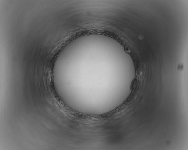 X0000112970772200908270942