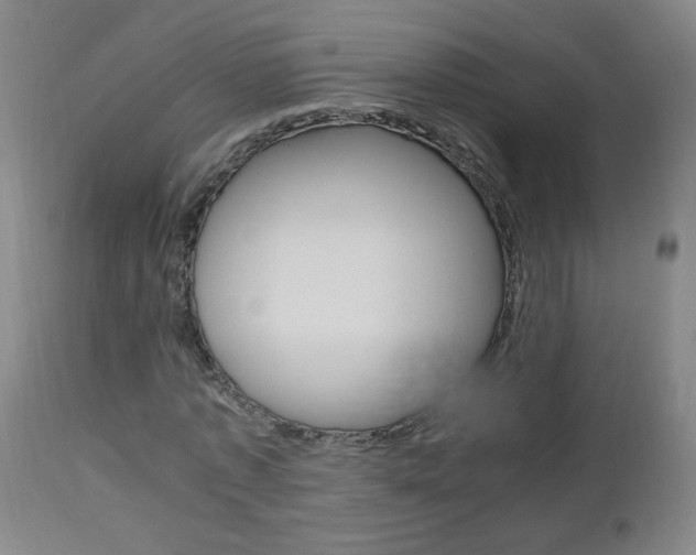 X0000112970773200908270942