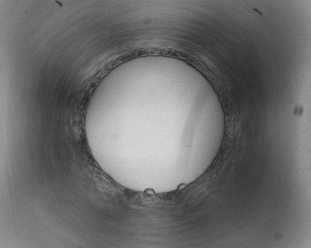 X0000112970774200908270942