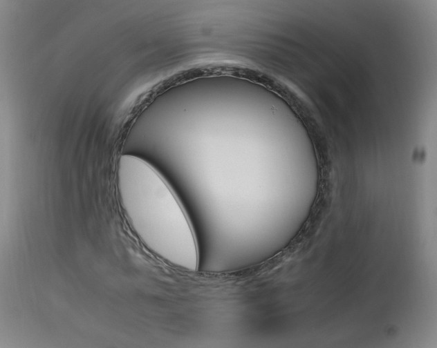X0000112970775200908270942