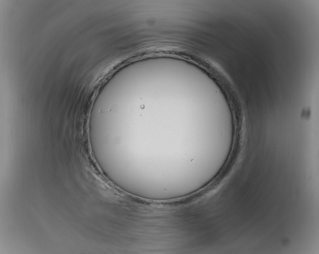 X0000112970777200908270942