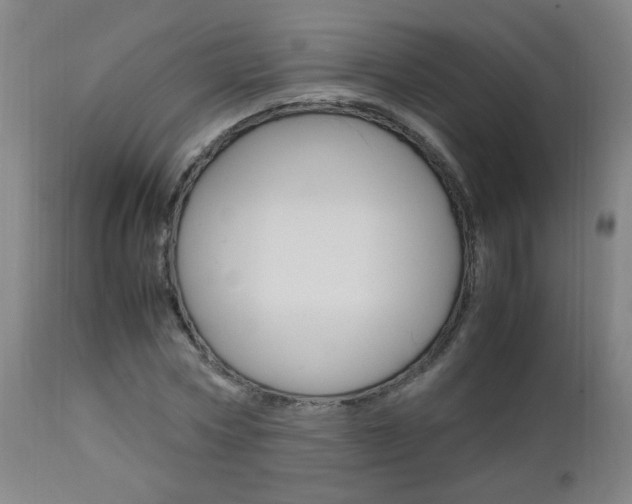 X0000112970778200908270942