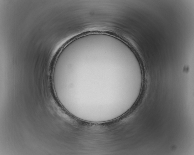 X0000112970779200908270942