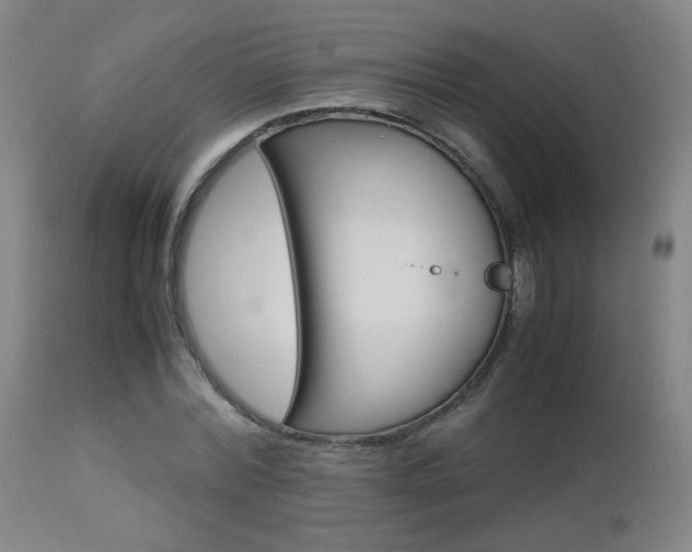 X0000112970780200908270942