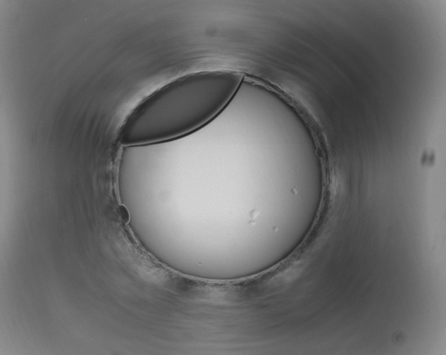 X0000112970781200908270942