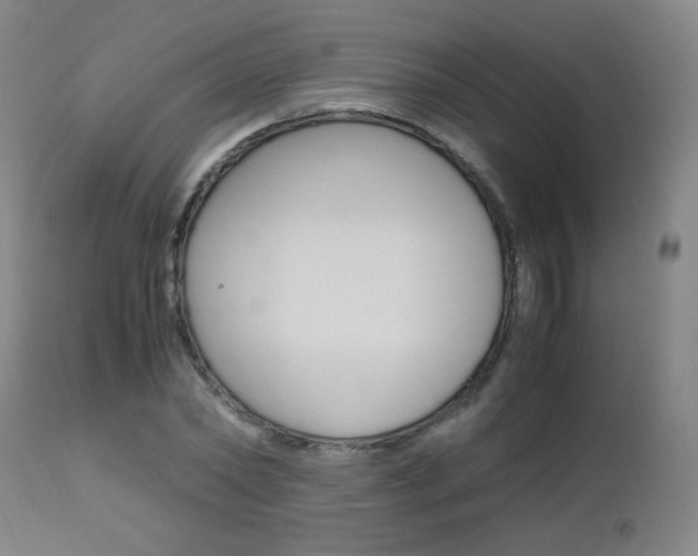 X0000112970782200908270942