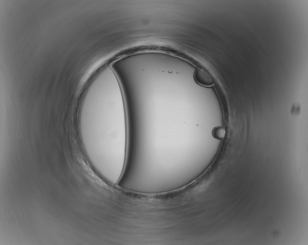 X0000112970783200908270942
