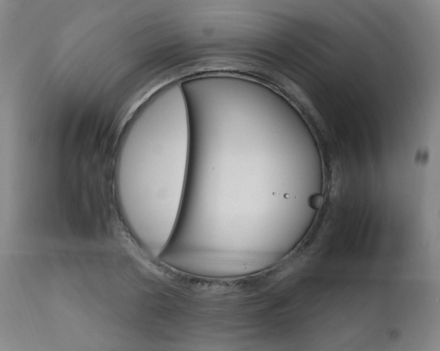 X0000112970786200908270942