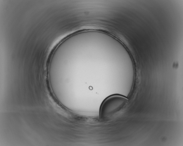 X0000112970787200908270942