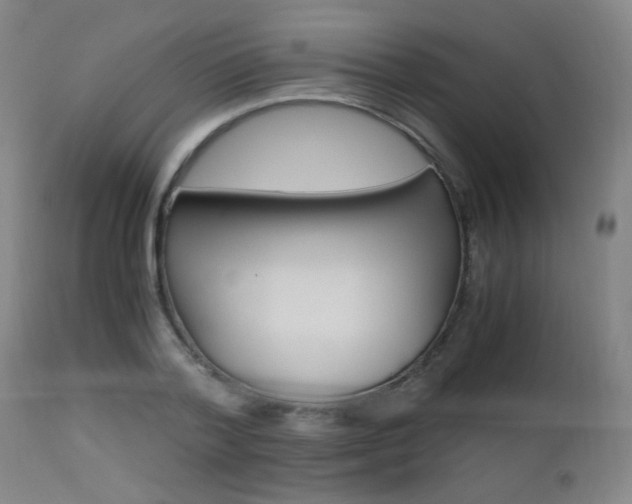 X0000112970788200908270942