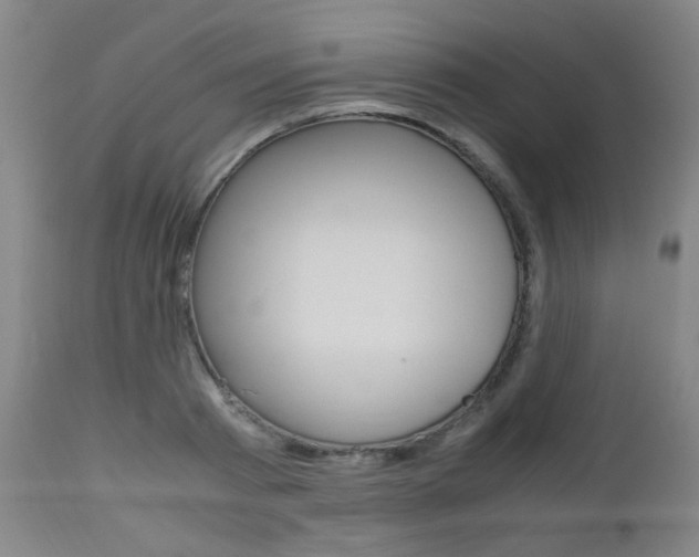 X0000112970793200908270942