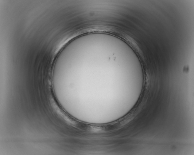 X0000112970794200908270942