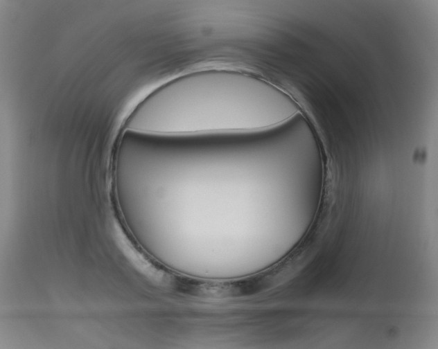 X0000112970795200908270942