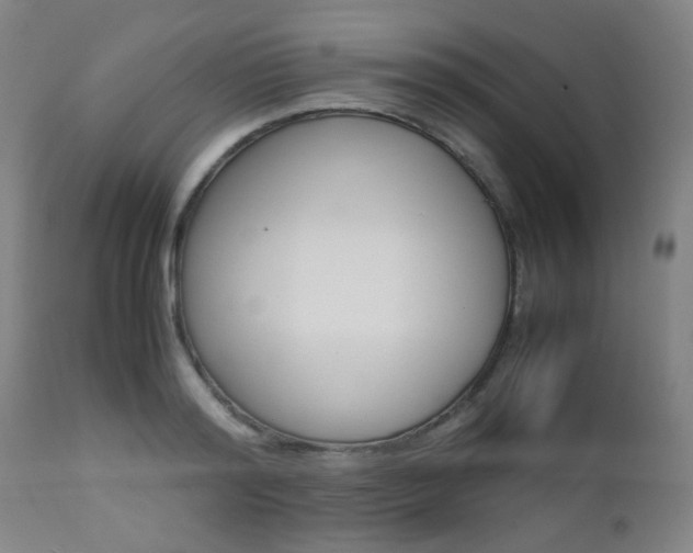 X0000112970796200908270942