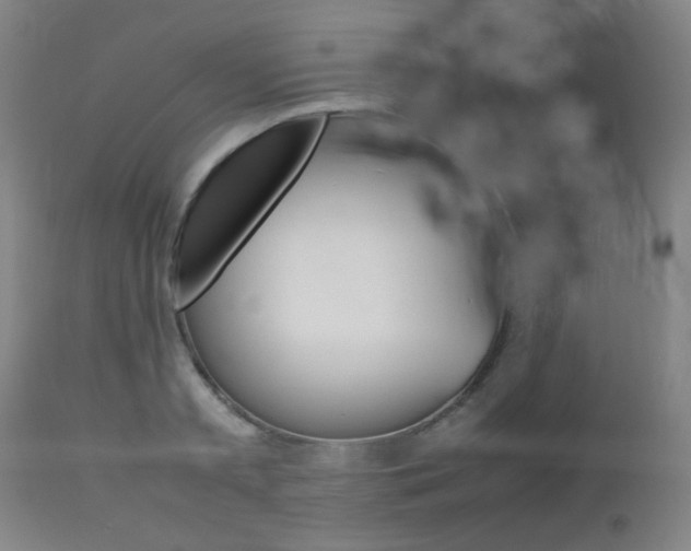 X0000112970797200908270942