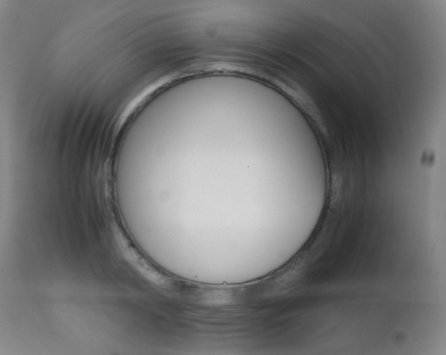 X0000112970798200908270942