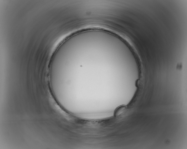 X0000112970799200908270942