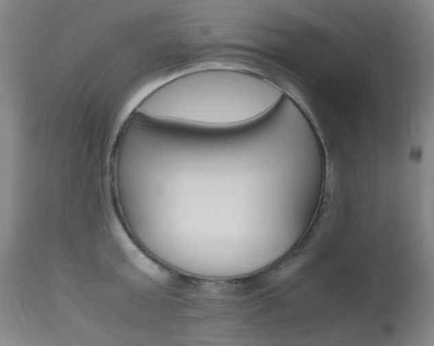 X0000112970803200908270942