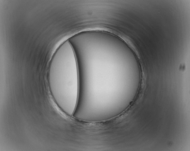 X0000112970805200908270942