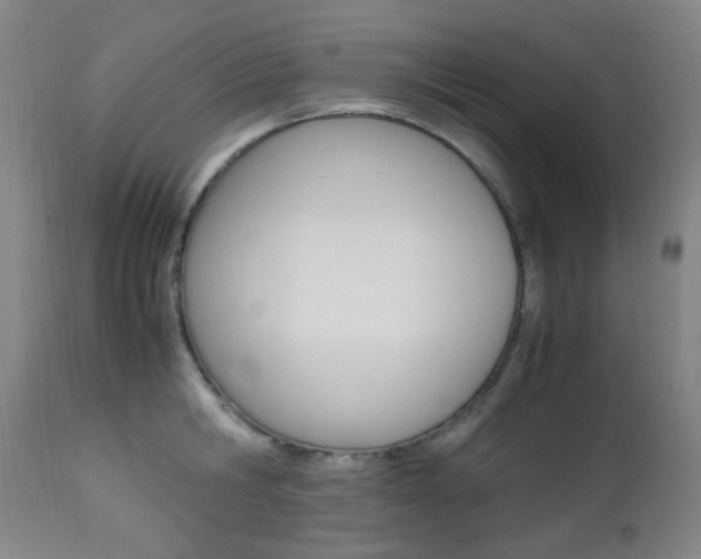 X0000112970806200908270942