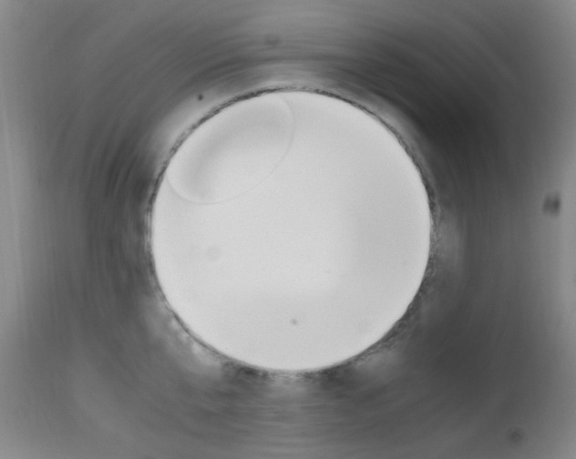 X0000112970807200908270942
