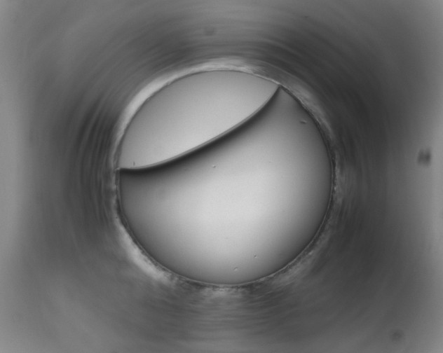 X0000112970808200908270942