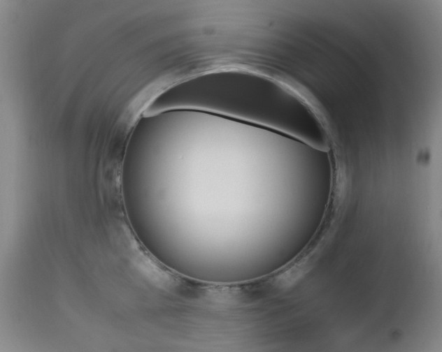 X0000112970809200908270942