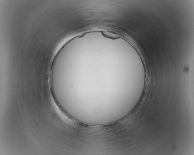 X0000112970811200908270942