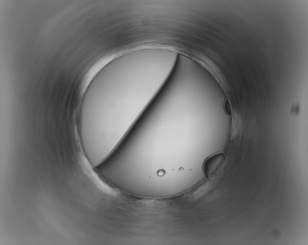 X0000112970812200908270942