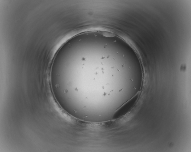 X0000112970813200908270942