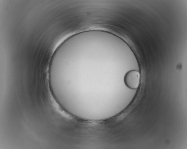 X0000112970814200908270942