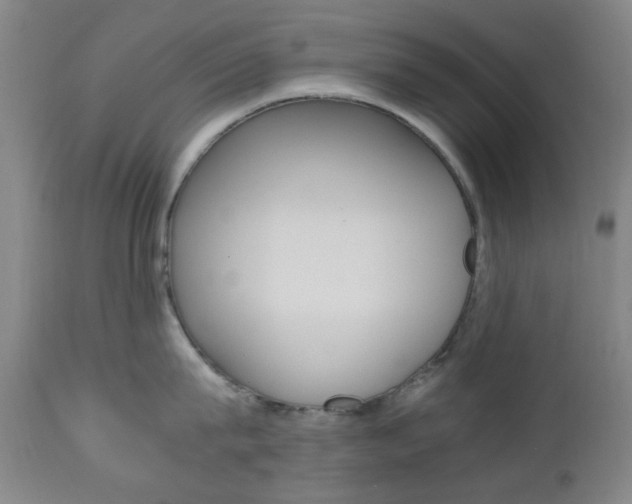 X0000112970815200908270942