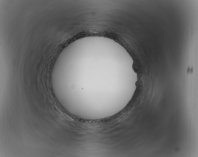X0000112970817200908270941