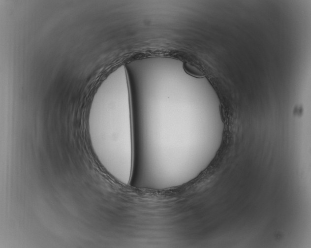 X0000112970818200908270941