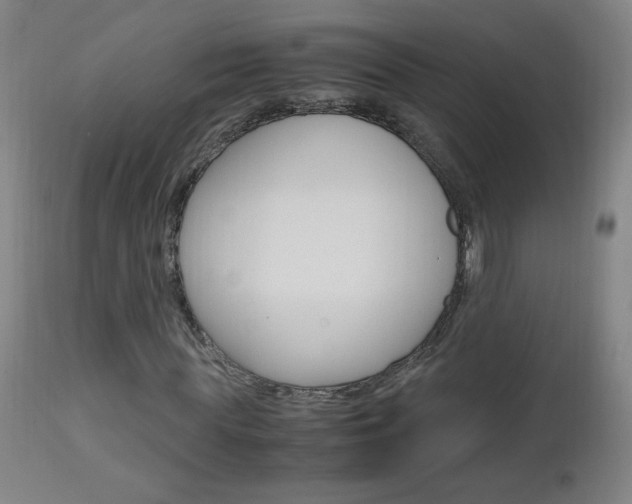 X0000112970819200908270941
