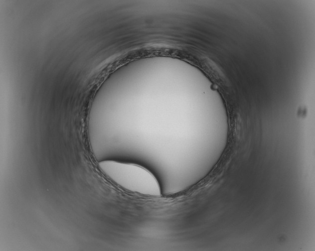 X0000112970821200908270941