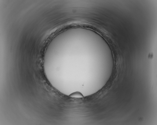 X0000112970822200908270941